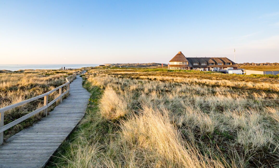 Sturmhaube am Roten Kliff Kampen Sylt